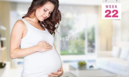 孕妇吃鹅蛋怎么吃最好，六种做法你学会了吗